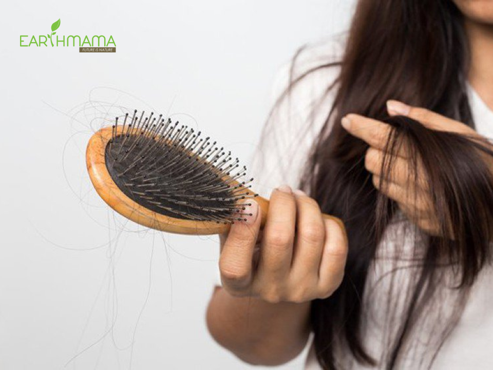 mái tóc yếu luôn cần dầu gội trị rụng tóc đặc trị