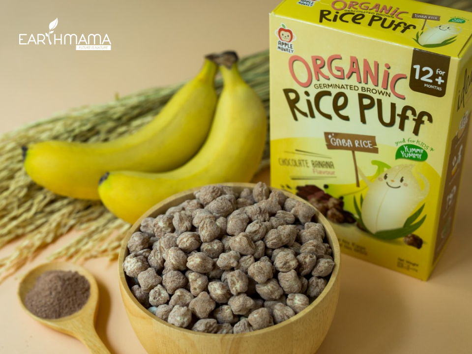 Bánh cho bé ăn dặm làm từ hạt gạo lức organic nẩy mầm