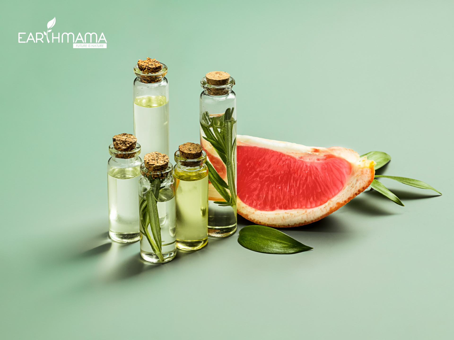 bưởi là thành phần phổ biến trong mỹ phẩm thiên nhiên
