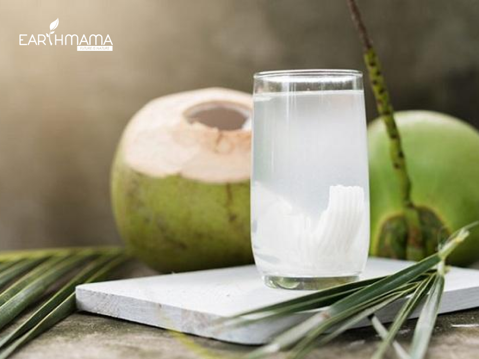 Uống nước dừa rất tốt cho mẹ và bé