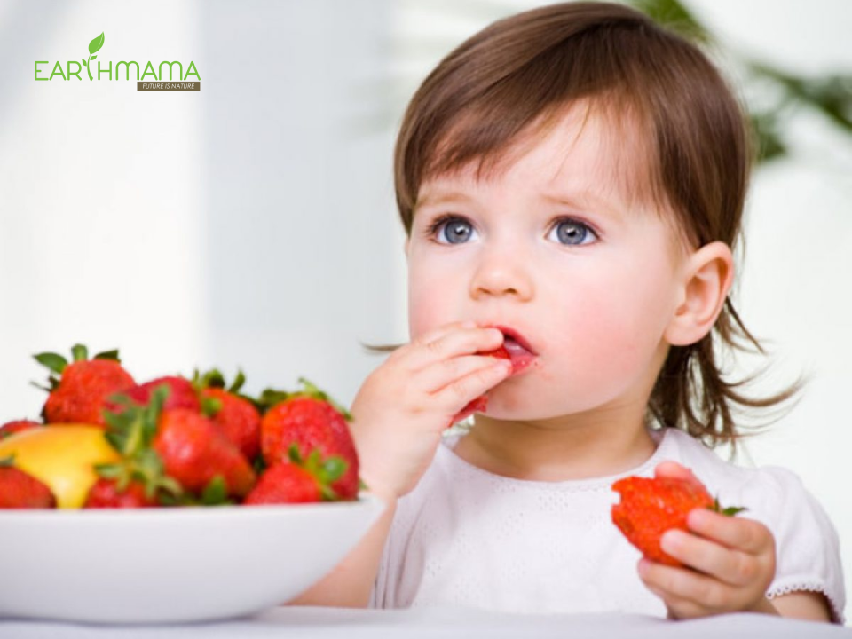 Cách tập nhai cho bé phụ huynh cần biết