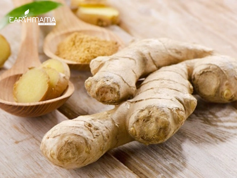 Chuẩn bị gừng và muối để rang