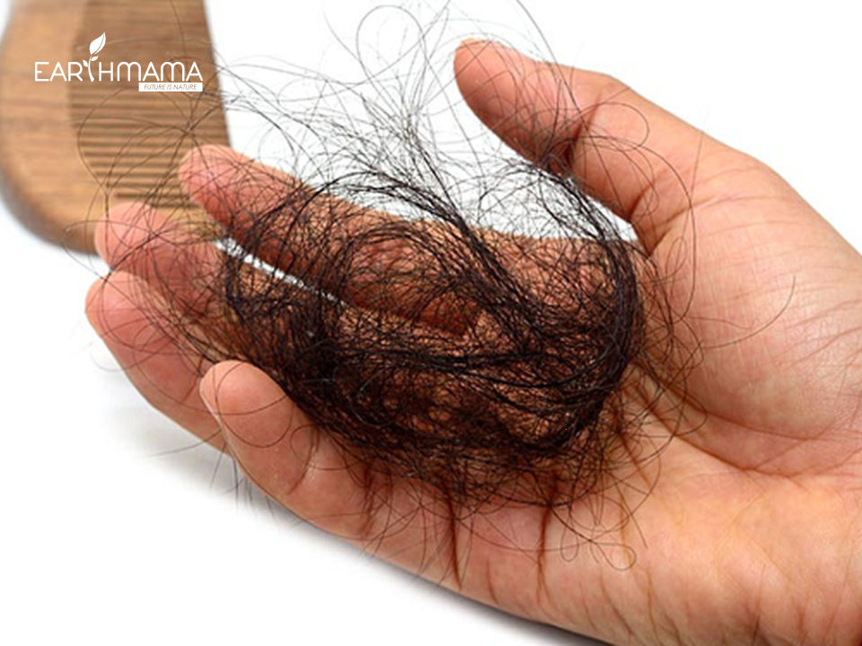 Sau sinh tóc mẹ thường bị rụng nhiều