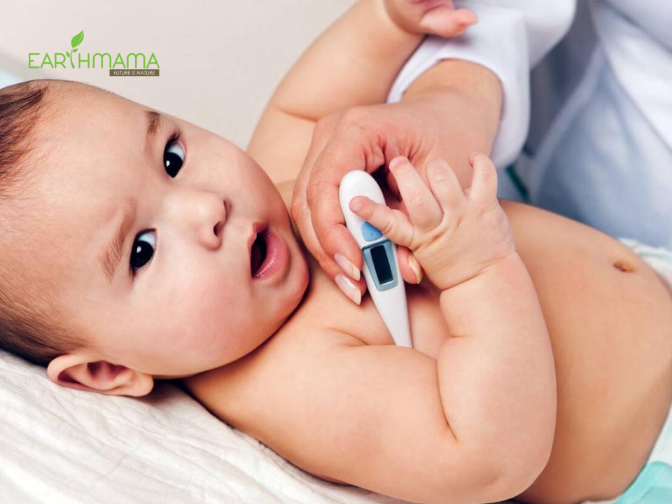 Khi trẻ bị sốt nên ăn cháo gì