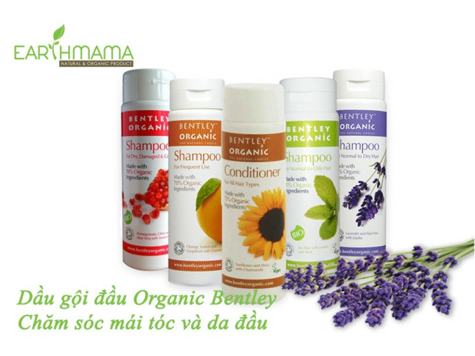 Dầu gội Organic Bentley