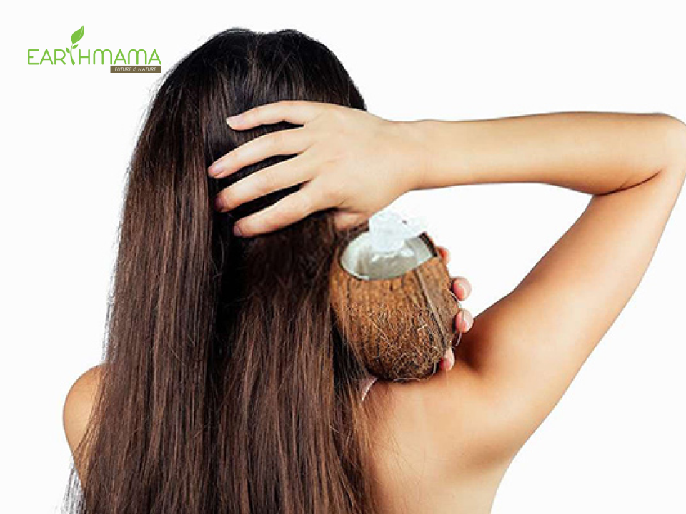 Detox tóc với dầu dừa là phương pháp được nhiều người ưa chuộng