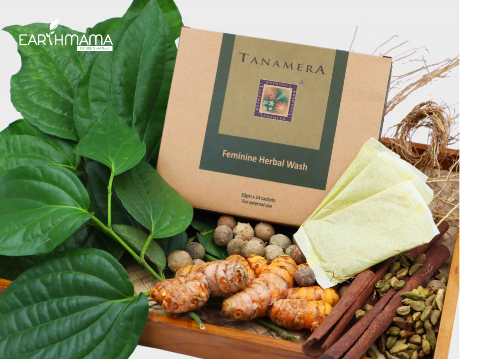 Thảo mộc xông vùng kín sau sinh Tanamera