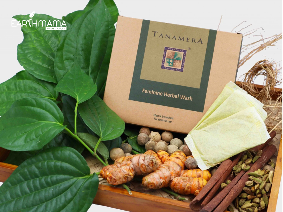 Thảo mộc xông vùng kín sau sinh Tanamera