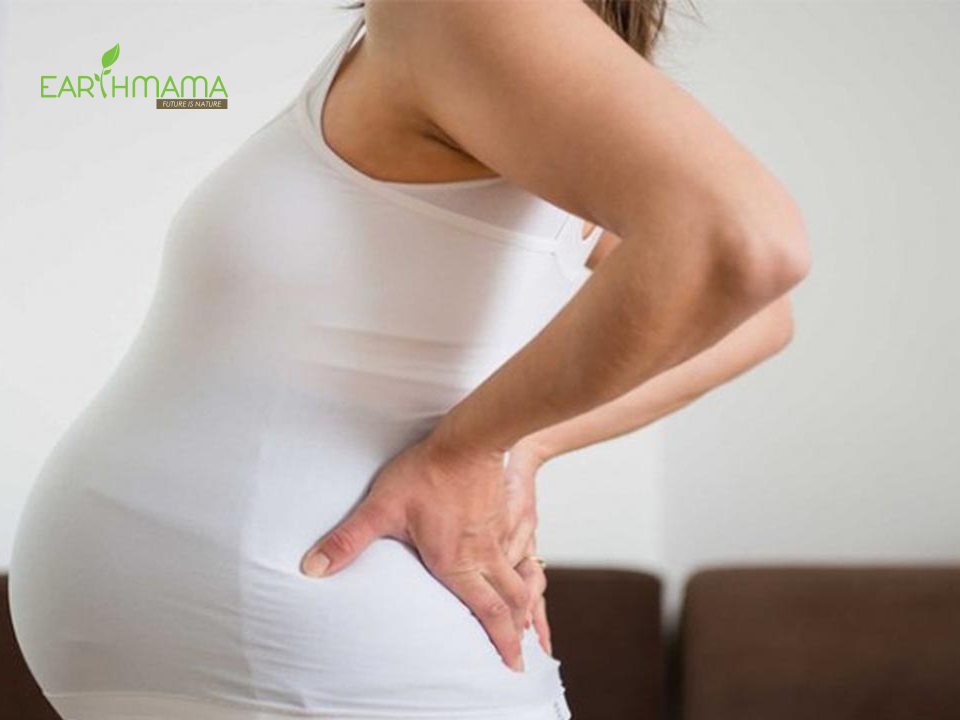 Cách thực hiện một số bài tập thể dục cho bà bầu
