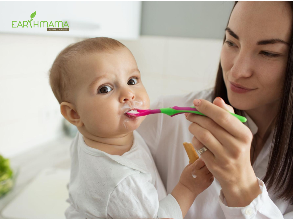 Bữa ăn dặm đầu tiên của bé bắt đầu khoảng 6 tháng tuổi