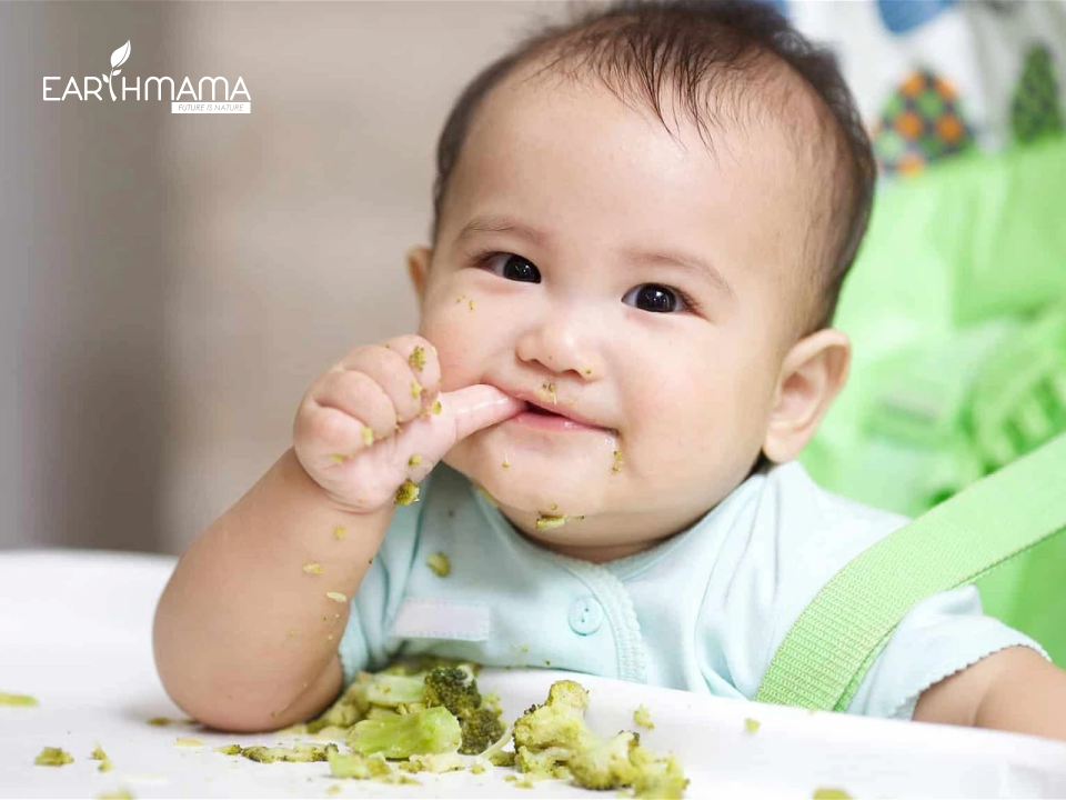 Bữa ăn dặm đầu tiên của bé theo từng món ăn
