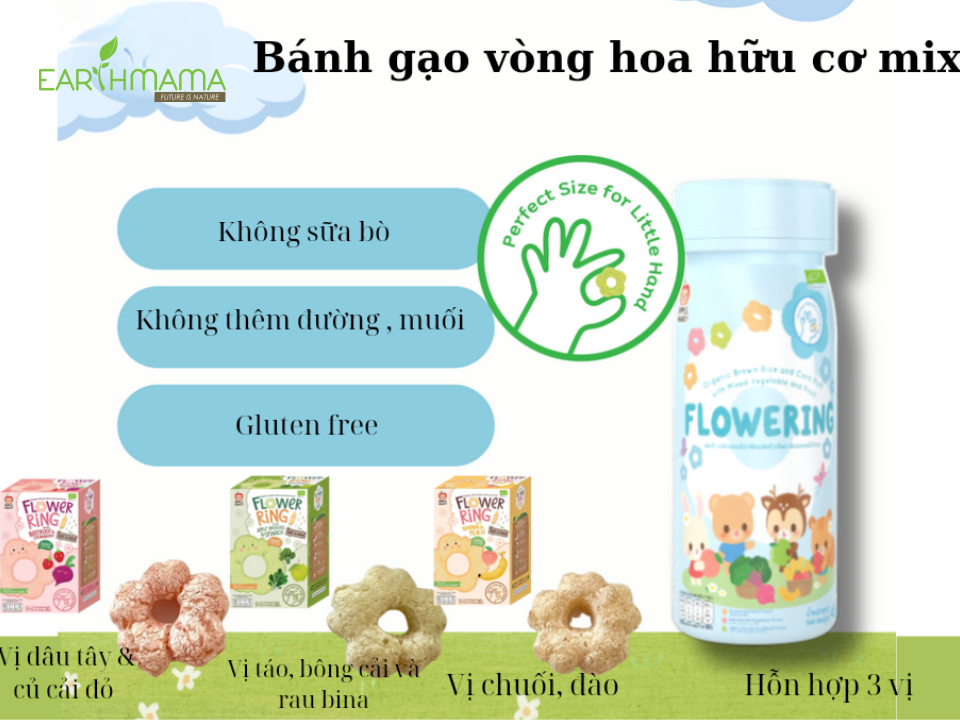 Các loại bánh ăn dặm cho bé vòng hoa hữu cơ trông thu hút