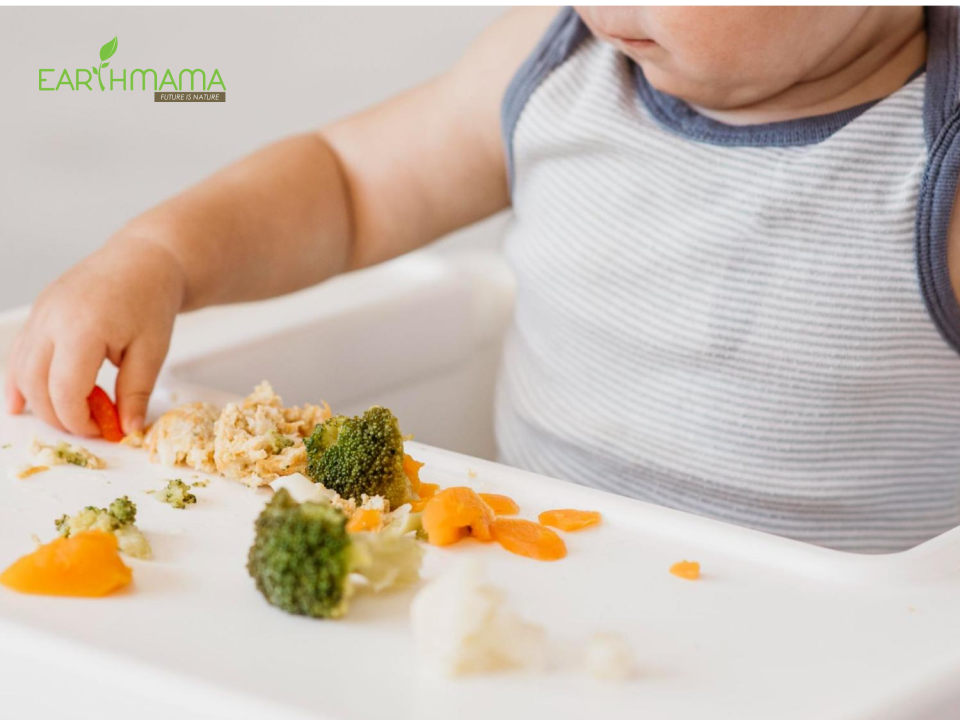 Bữa ăn dặm đầu tiên của bé giúp bé phát triển tốt nhất