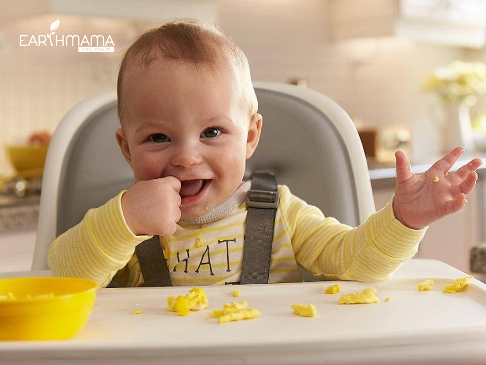 Cho bé ăn bánh ăn dặm khi nào và những câu hỏi thắc mắc