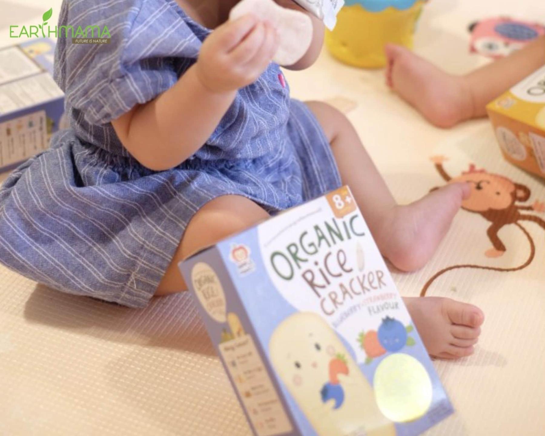 Hương vị bánh tự nhiên và cho bé ăn bánh ăn dặm khi nào phù hợp