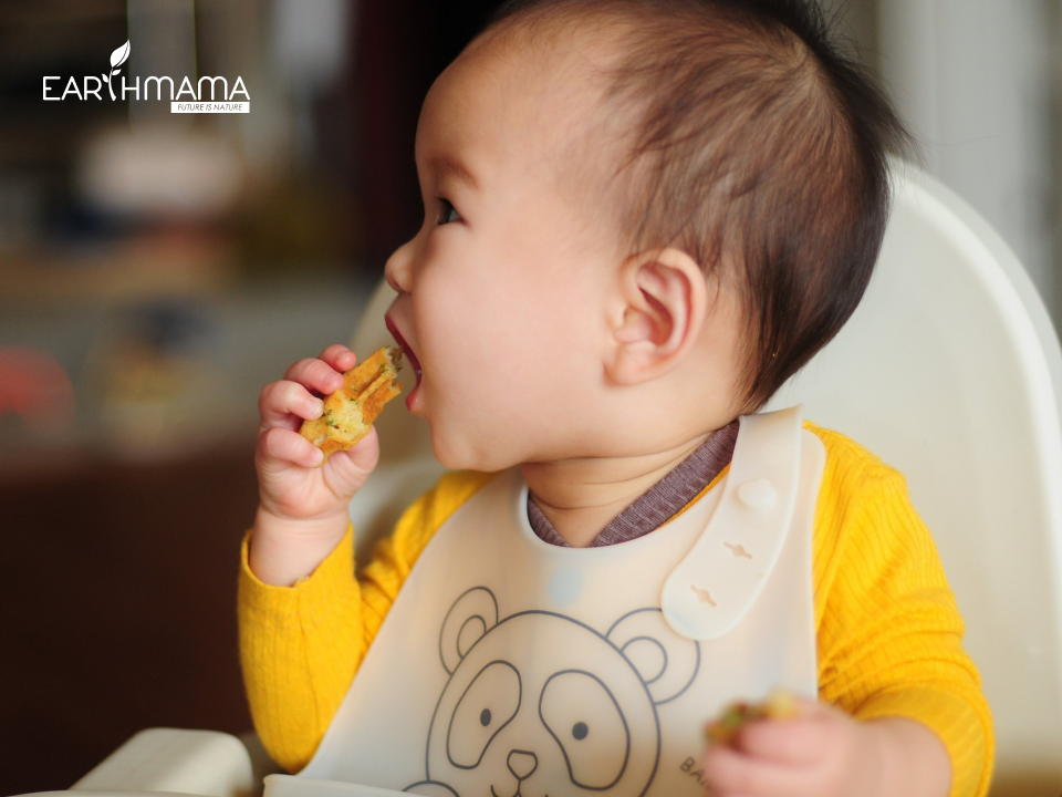 Cho bé ăn bánh ăn dặm khi nào và lưu ý về thành phần bánh