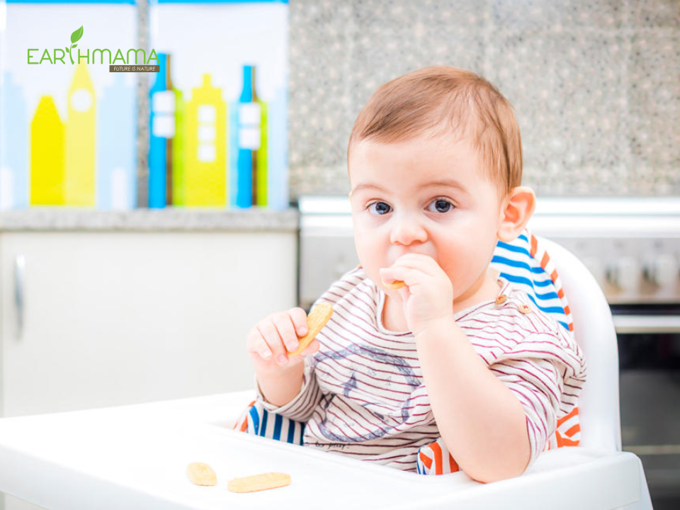 Khám phá các loại bánh ăn dặm cho bé giàu dinh dưỡng