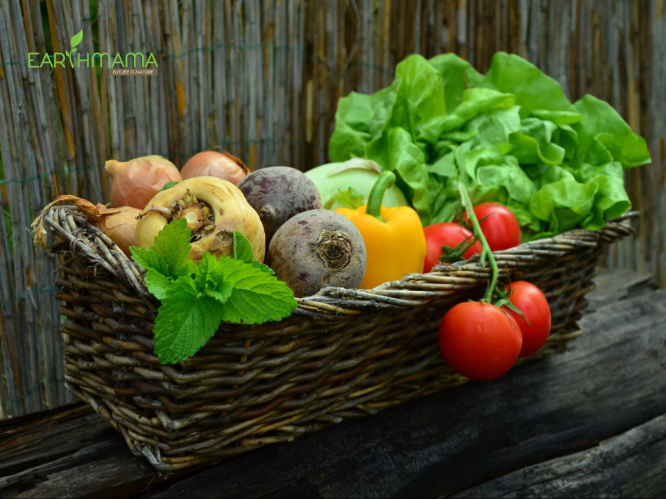 Những món canh tốt cho bà bầu 3 tháng đầu cần có rau củ tốt cho sức khỏe