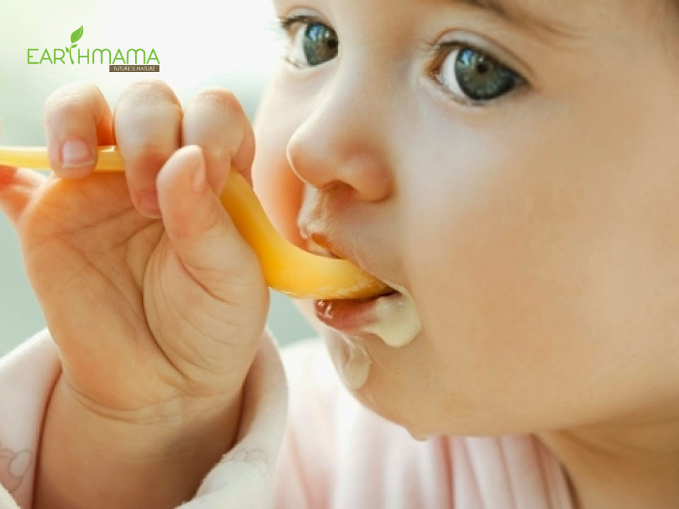 Bữa ăn dặm đầu tiên của bé với các thực phẩm khác nhau