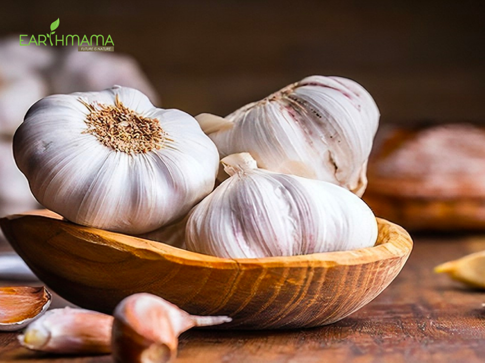 Trị ho khi mang thai giúp chống viêm họng