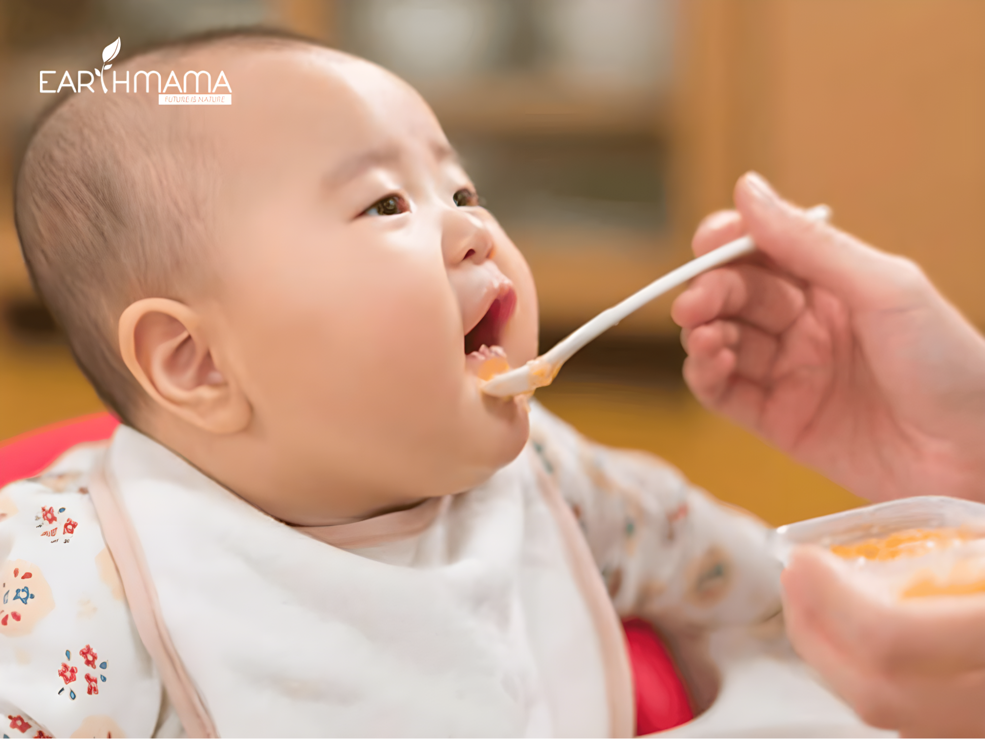 Cách nấu cháo ăn dặm cho bé 6 tháng đúng tỉ lệ