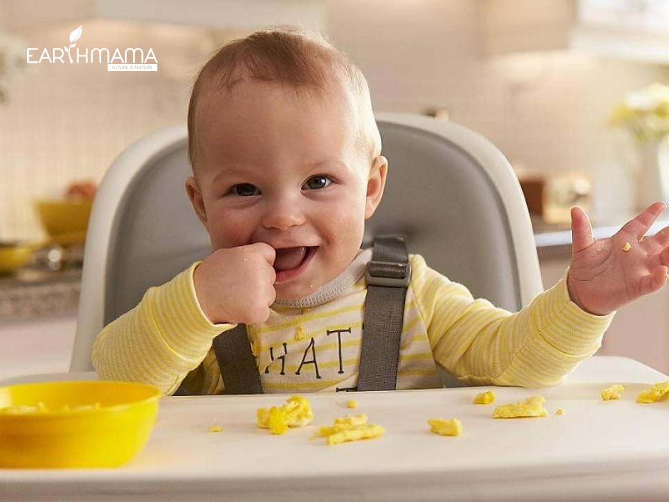 Cháo ăn dặm cho bé 8 tháng phù hợp và ngon miệng