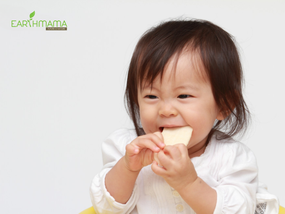 Tìm hiểu về bánh ăn dặm cho bé dinh dưỡng