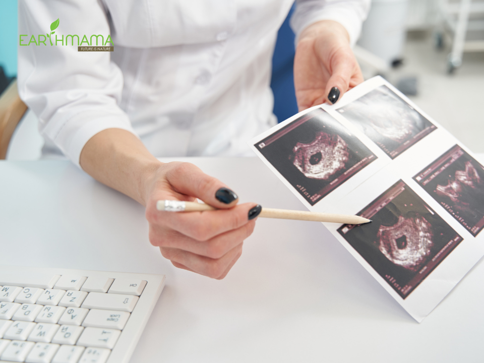 Tam cá nguyệt thứ 1 chính là 3 tháng đầu của thai kỳ