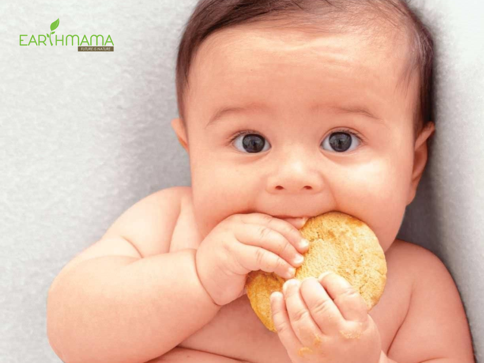 Các giai đoạn cho bé ăn bánh ăn dặm bí đỏ mẹ cần biết