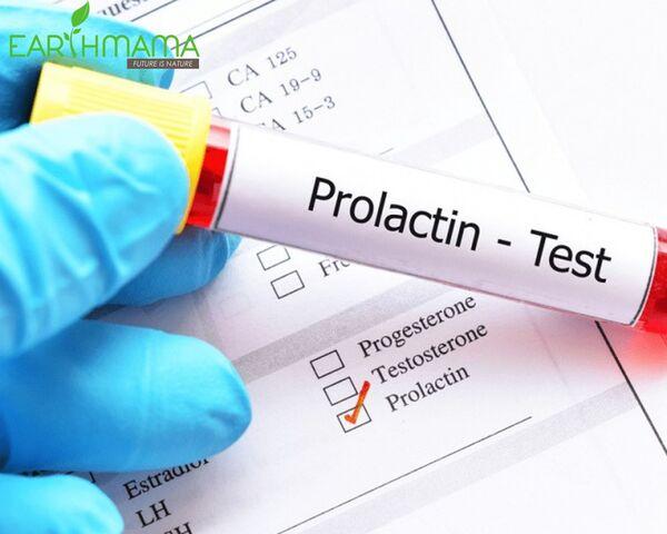 Prolactin đảm nhiệm nhiều chức năng trong cơ thể Prolactin đảm nhiệm nhiều chức năng trong cơ thể